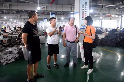 江蘇臺攝制組聚焦大龍，專題片攝制展現獨特風采